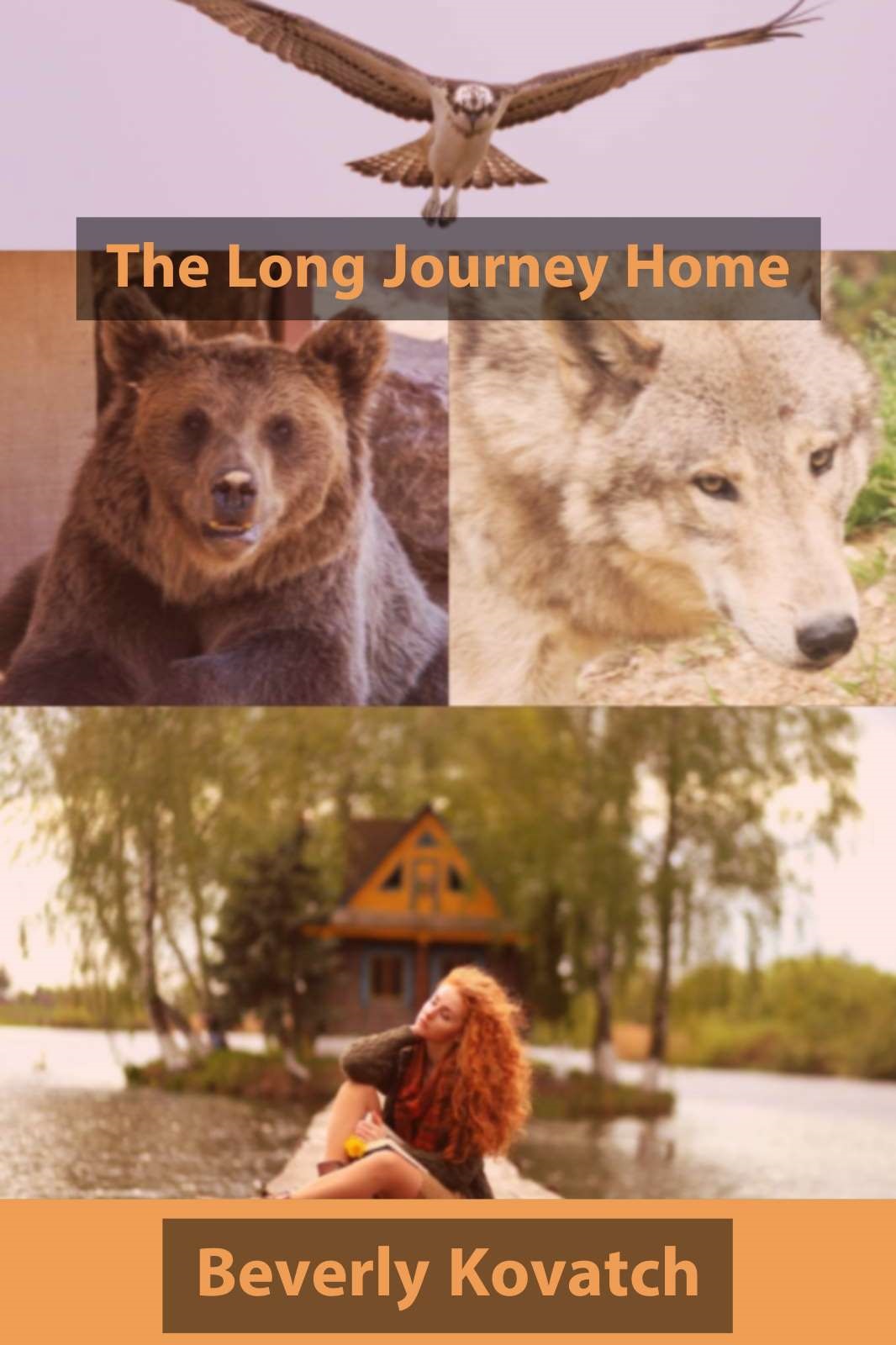 The Long Journey Home
